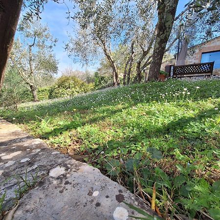 Dimora Nel Chianti Casa de hóspedes San Sano Exterior foto