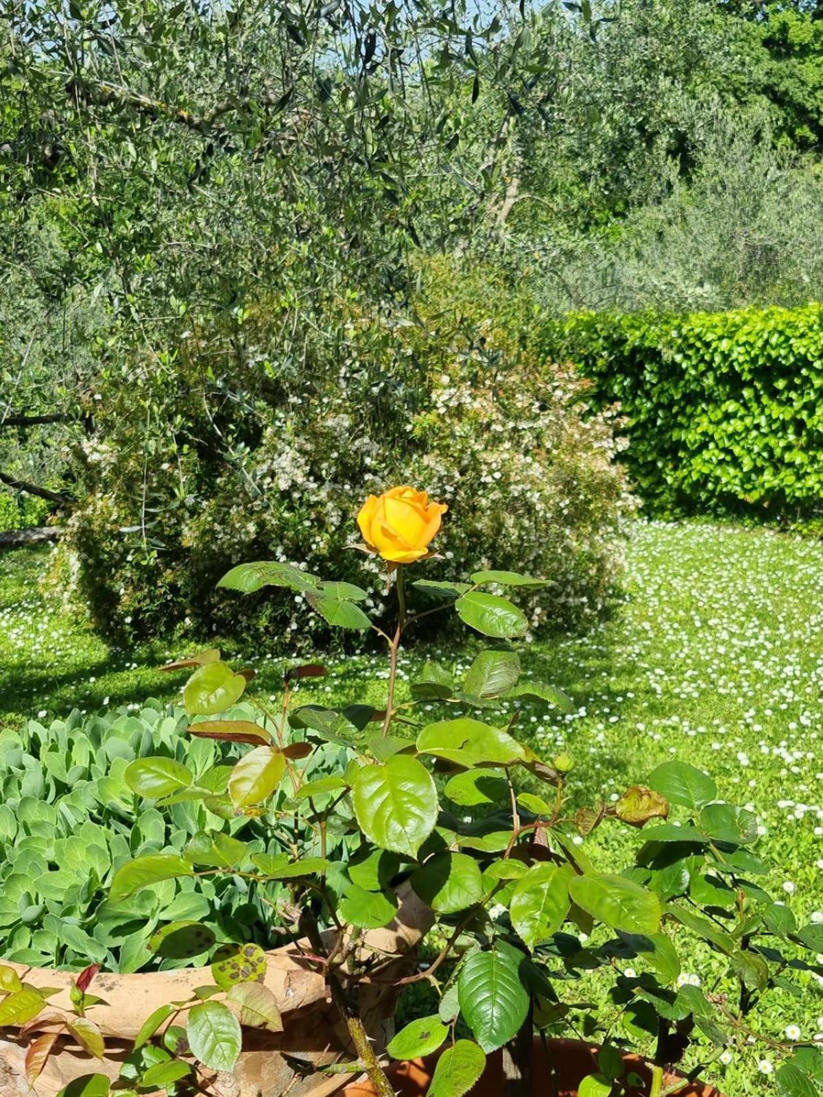 Dimora Nel Chianti San Sano Exterior foto
